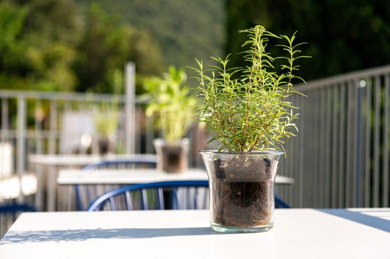 Vistalago Torbole Torbole Sul Garda Eksteriør bilde